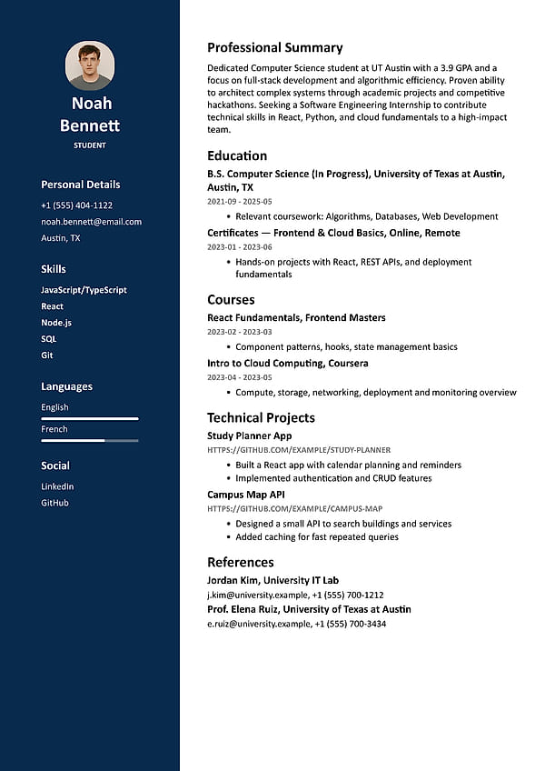Skill Track elegant resume template, designed to highlight your skills and achievements effectively, perfect for creating a skills-focused professional resume using a free resume builder.